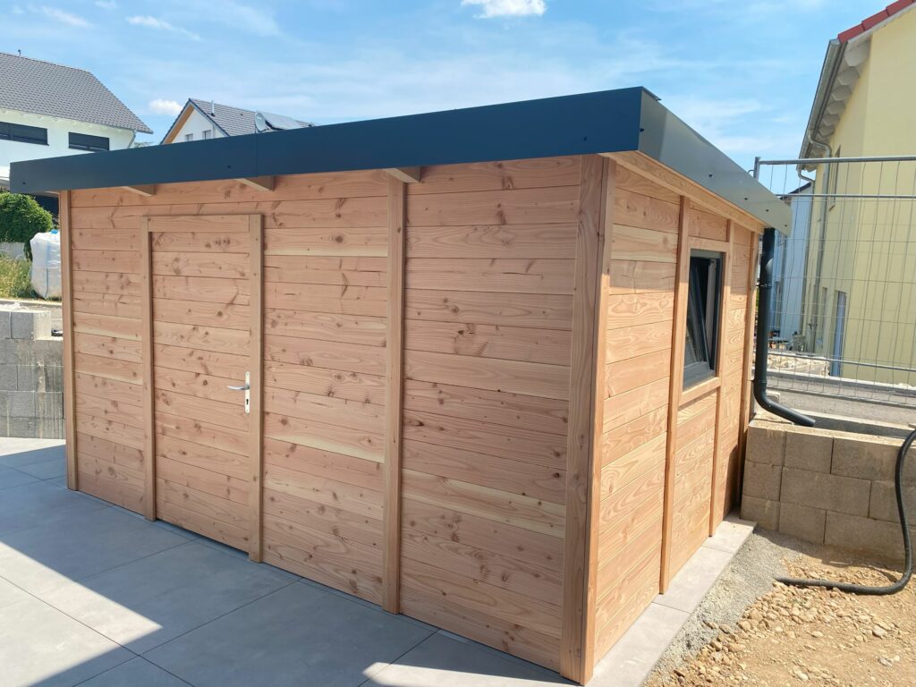 20230617_103423389_iOS