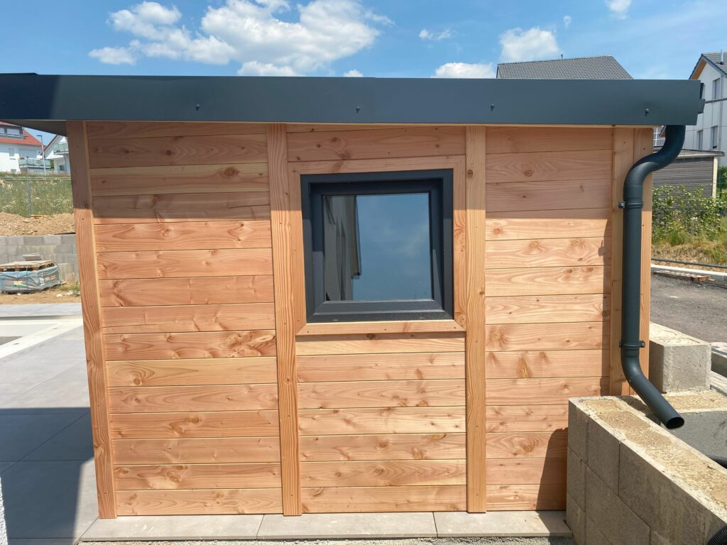 20230617_103523728_iOS